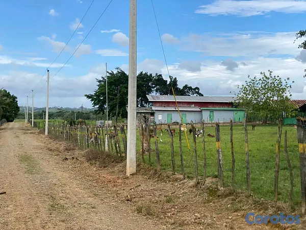 solares y terrenos - finca de 3600 tareas llanas de ganadería en cotui  3