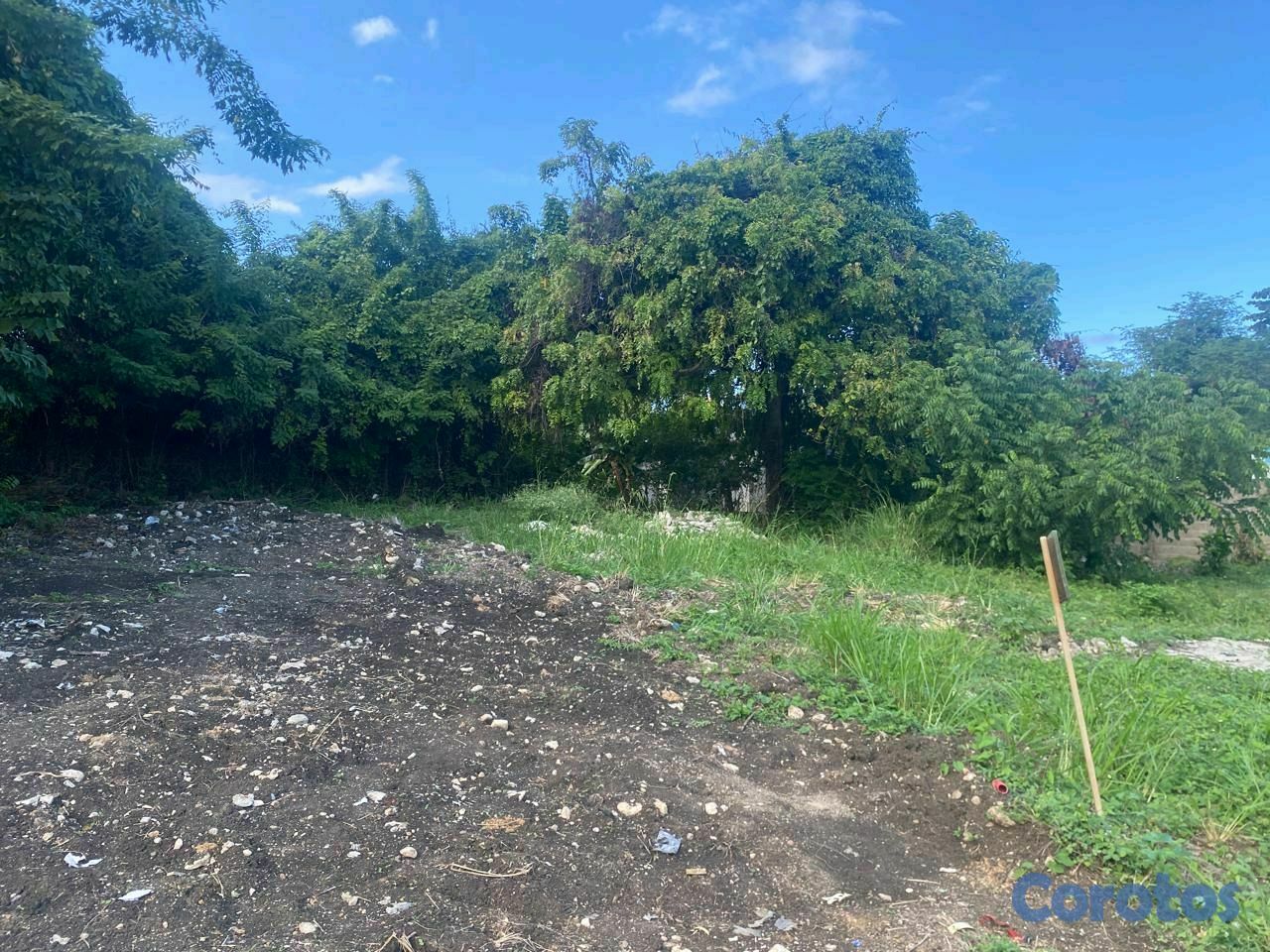 solares y terrenos - hermoso solar en la parte alta de Puerto plata  4