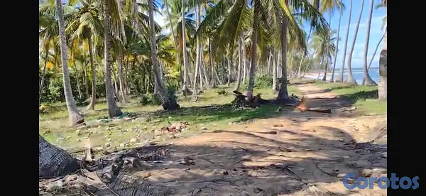 solares y terrenos - Terreno Frente a la playa - 17,615 m² - Sabana de  8