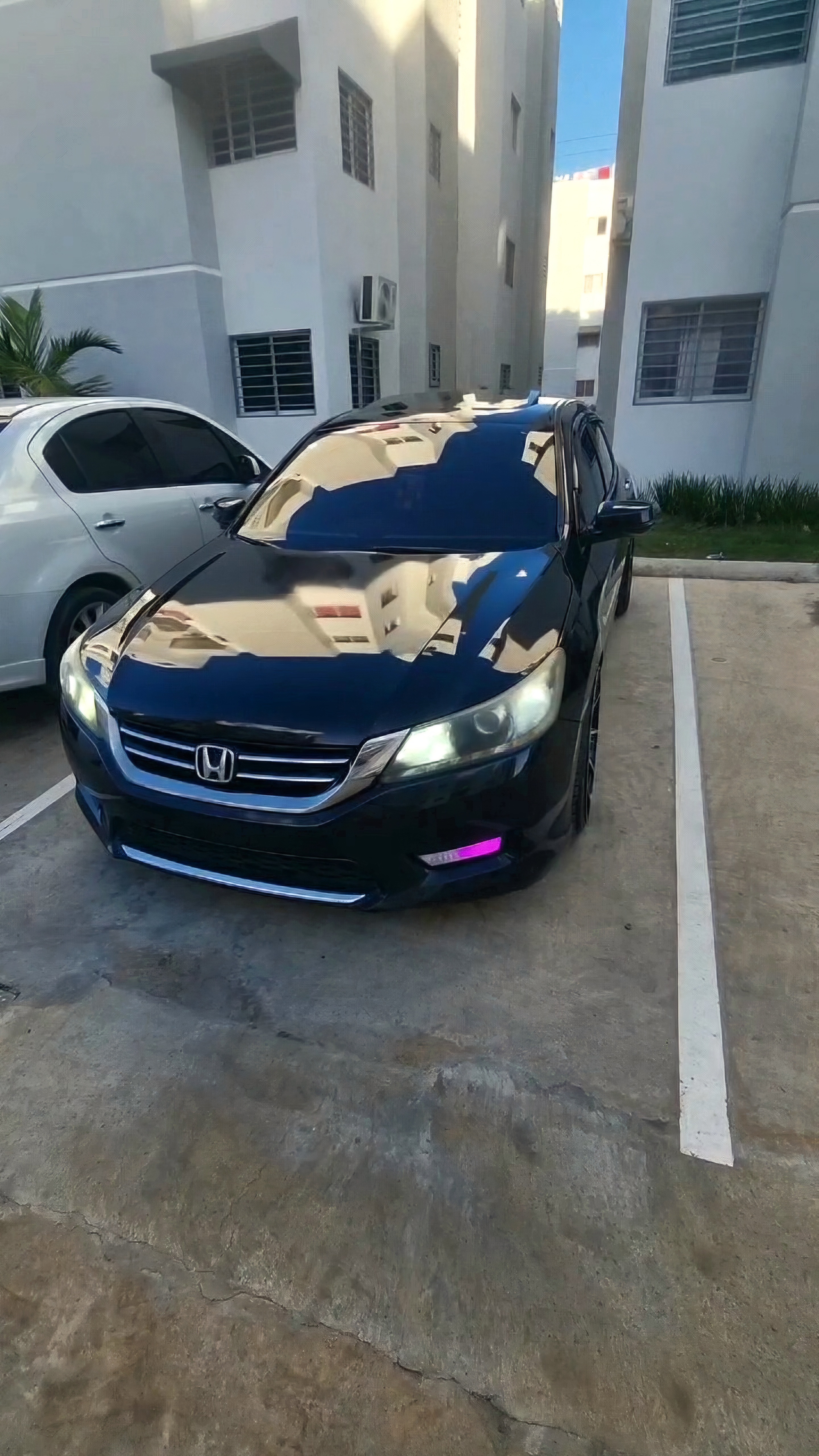 carros - Honda Accord EXL V6