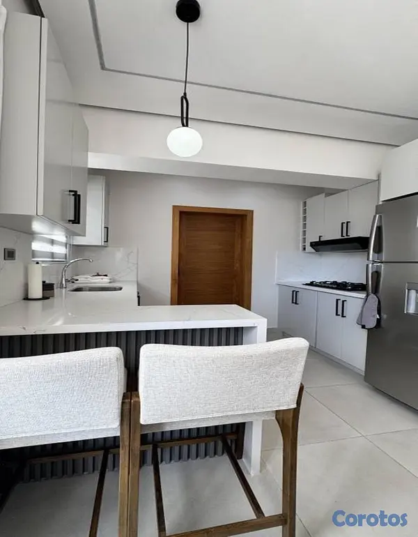 apartamentos - 1 Habitación Amueblado En Piantini 4