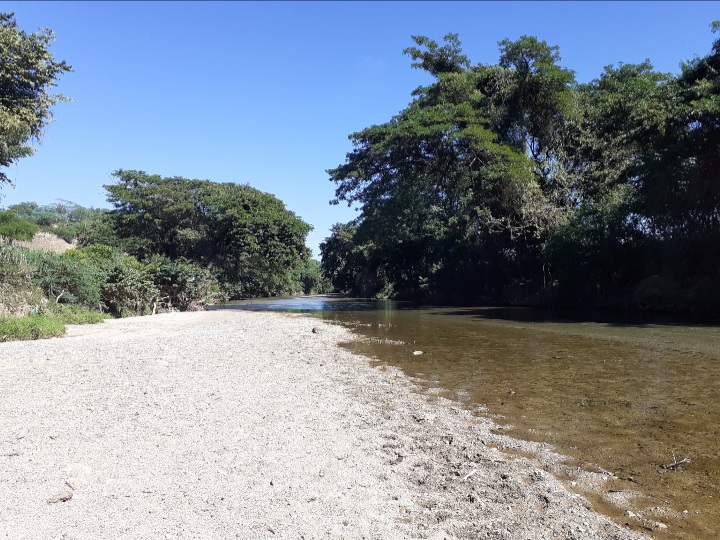 solares y terrenos - Finca 1,500 Tareas en Cabezas de Toros, Guayubin 1