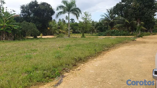 solares y terrenos - Solares en Nagua 11