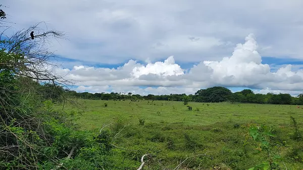 solares y terrenos - Finca en el Toro de Guerra 9