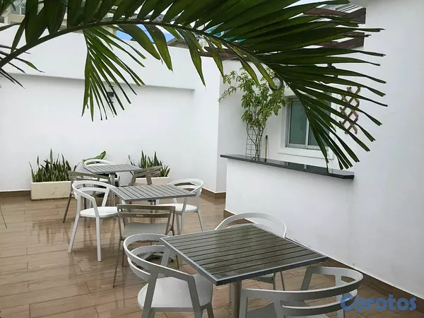 apartamentos - Apartamento en alquiler en Piantini 7