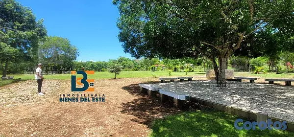 solares y terrenos - SE VENDE DE OPORTUNIDAD Excelente Finca con 3,000  10