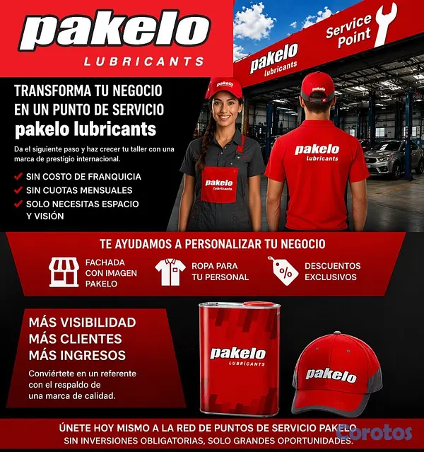 servicios profesionales - OPORTUNIDAD DE NEGOCIO PARA EMPRENDEDORES E INVERS 1