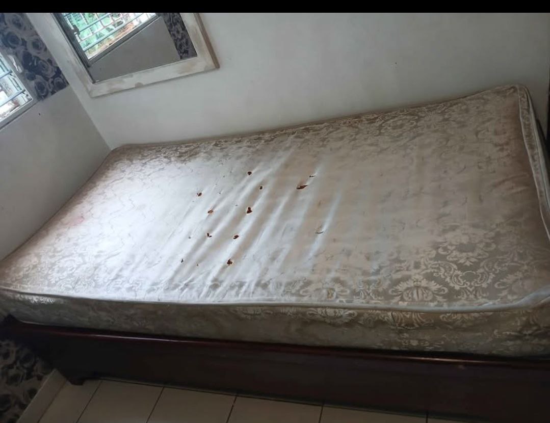 muebles y colchones - Cama 40x77 pino tratado con Colchon twin usado (para reparar) 5