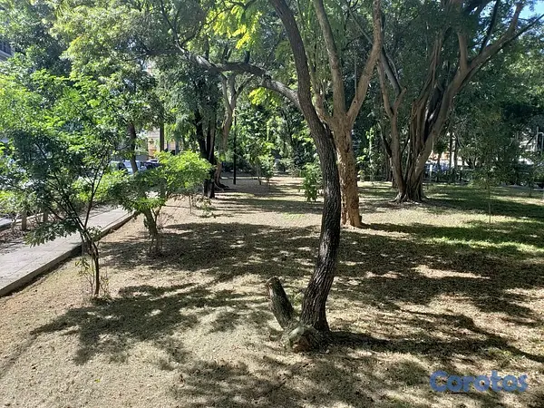 casas - Vendo Casa en Serralles 19