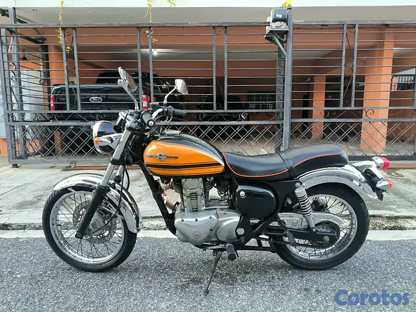 motores y pasolas - Kawasaki estrella bj250 2