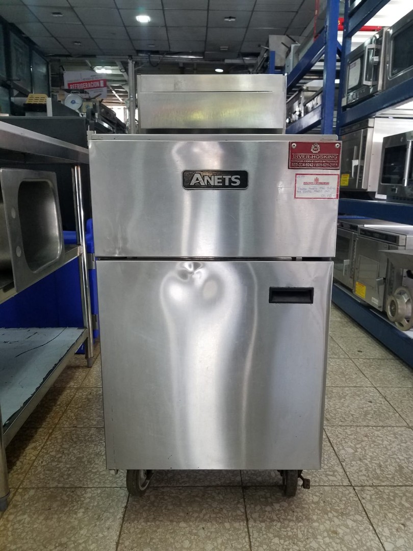 servicios profesionales - Anets, Freidor Industrial 