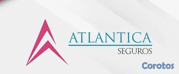 servicios profesionales - Agente de Riesgos Autorizado – Protejo tu vehículo, casa y negocio 2