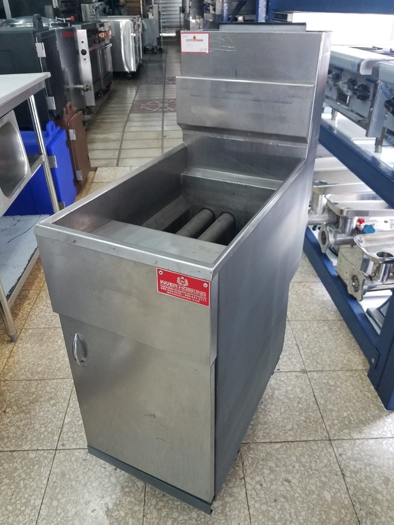 servicios profesionales - Anets, Freidor Industrial  1