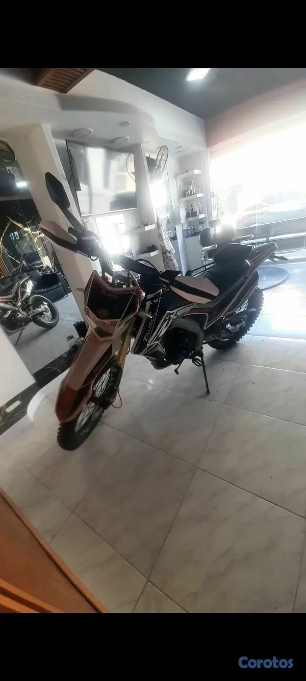 motores y pasolas - Tauro CRX250 2023 6