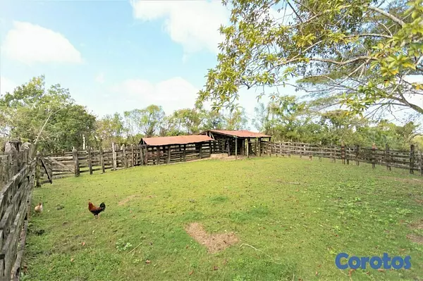 solares y terrenos - Finca de 5232 tareas totalmente ganadera y agrícol 6
