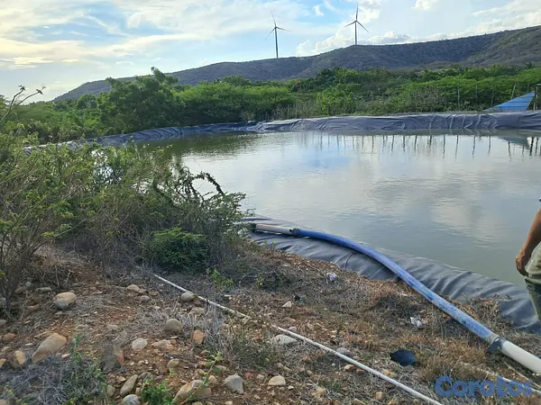 solares y terrenos - Venta de 35 Tareas en Las Calderas, Baní – Excelen 2