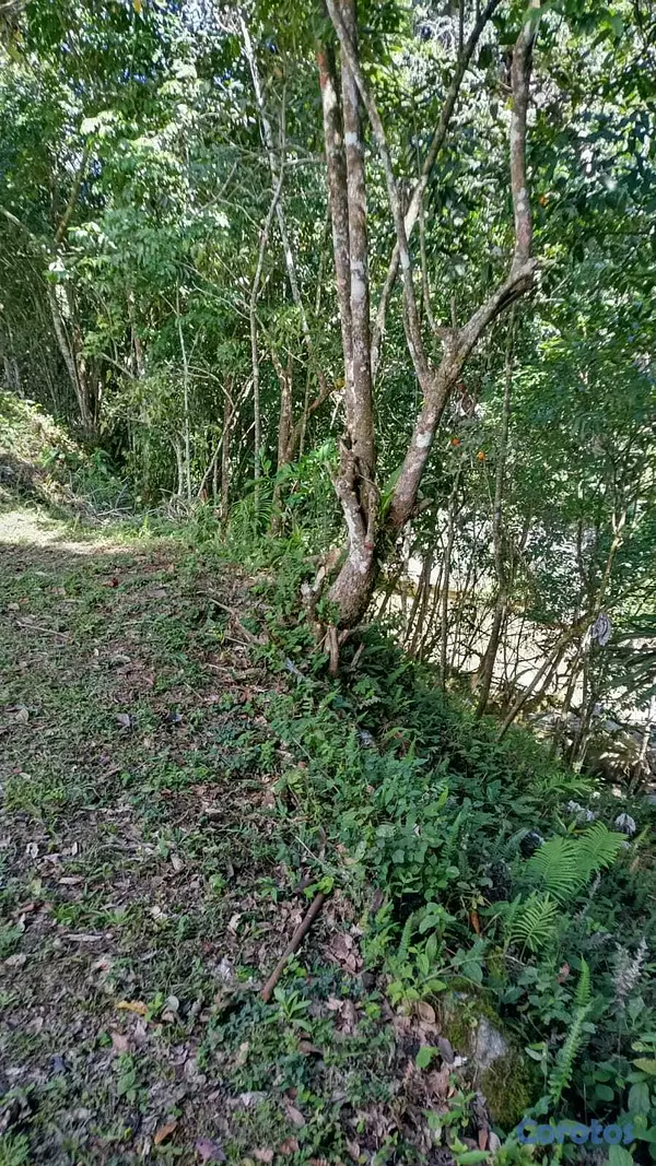 solares y terrenos - VENTA TERRENO CON RIO EN JARABACOA 12