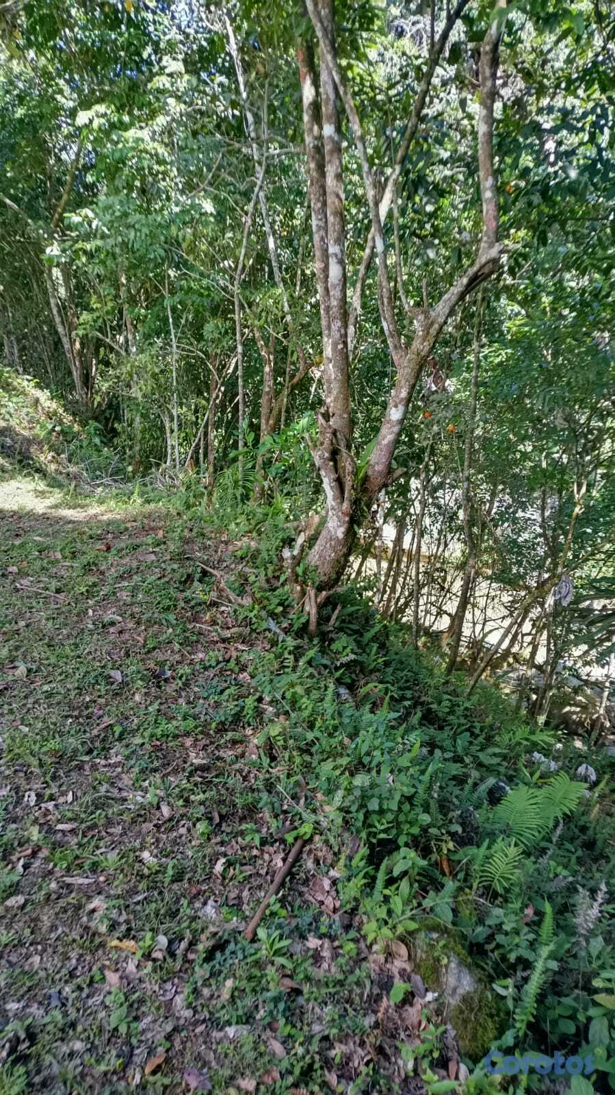 solares y terrenos - VENTA TERRENO CON RIO EN JARABACOA 12