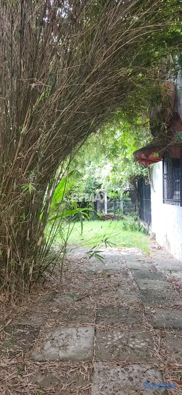 oficinas y locales comerciales - Casa/Local comercial en alquiler en Viejo Arroyo H 4