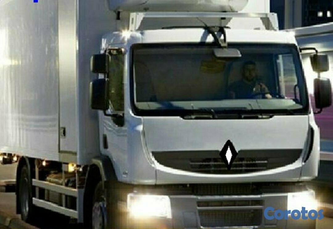 servicios profesionales - MUDANZAS EN LA ROMANA