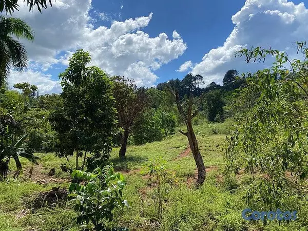 solares y terrenos - Terreno en venta en San Cristobal 6