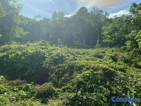 solares y terrenos - Finca en la Cumbre, Arroyo Vuelta Arriba 4