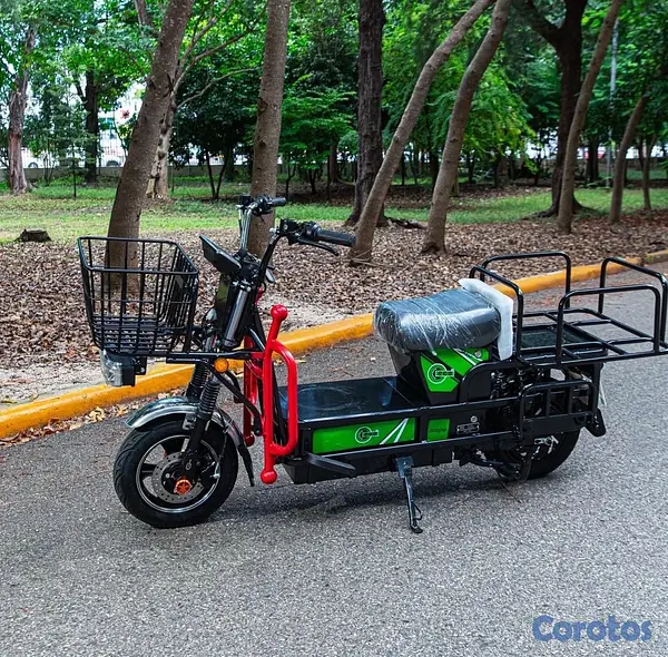 motores y pasolas - pasola electrica para delivery  4