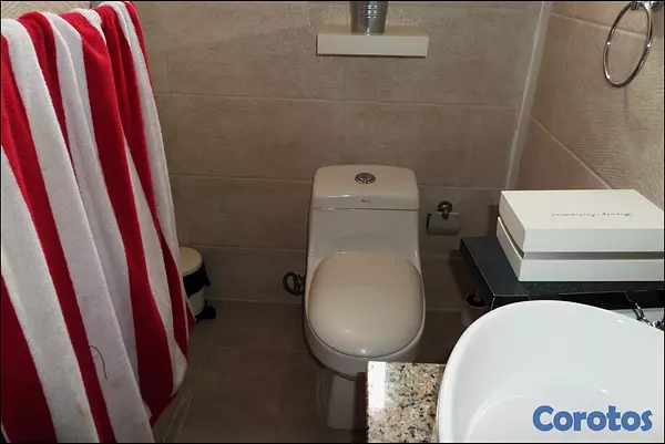 apartamentos - Apartamento Tipo PH en Gazcue 2 Niveles  4