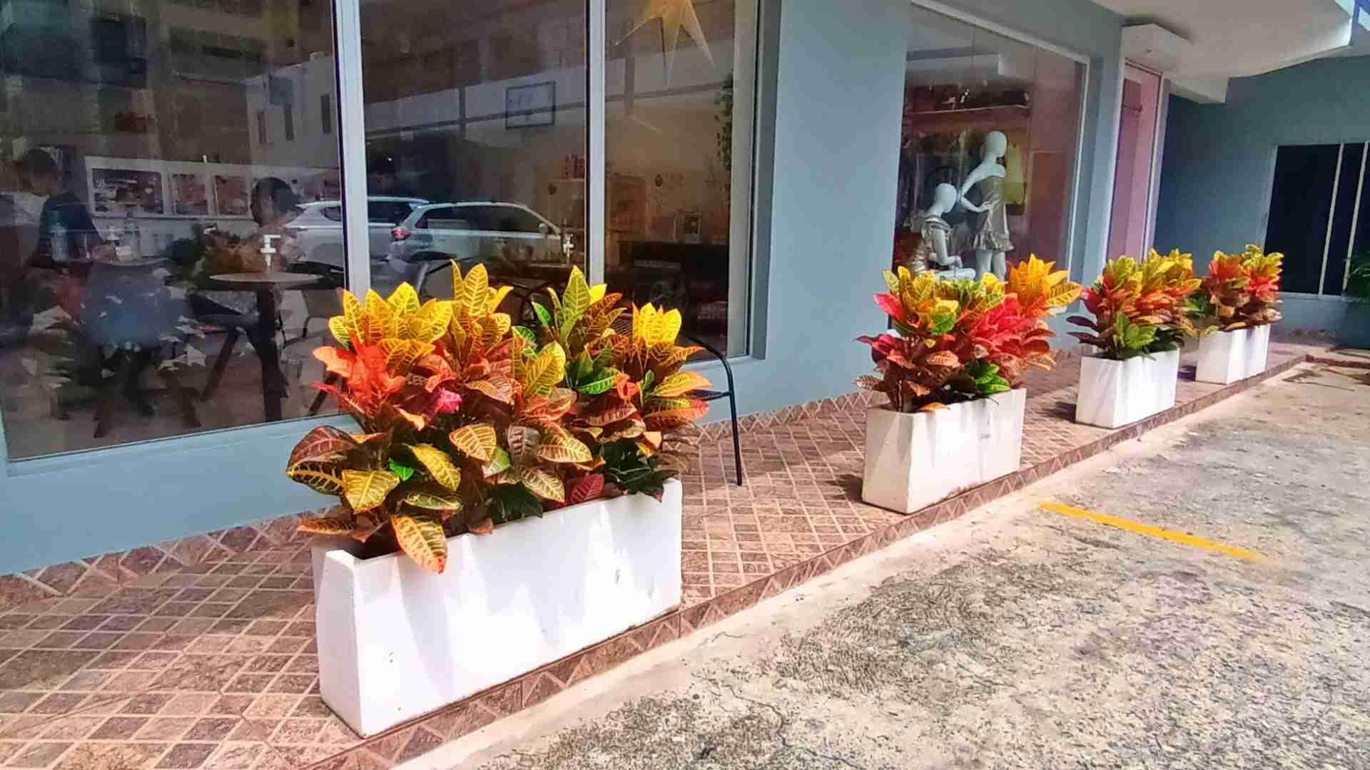 oficinas y locales comerciales - Furnished Office – Evaristo Morales 55mts. Move-In Ready – 2nd Floor 1
