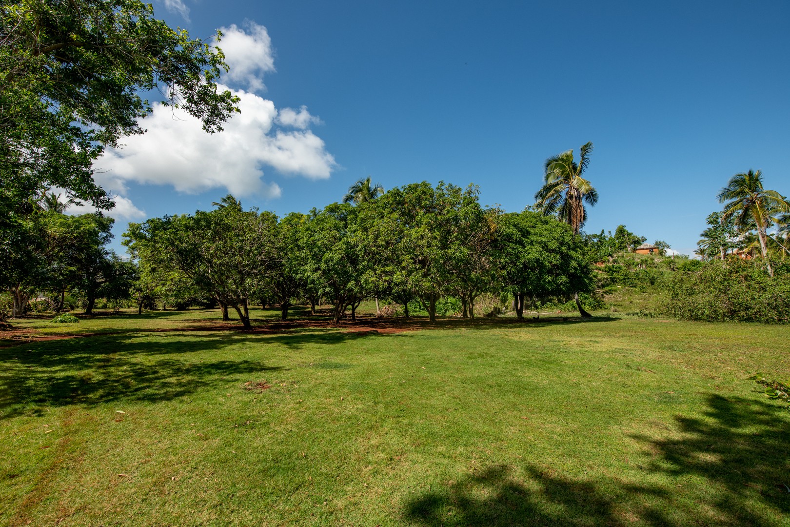 solares y terrenos - Solares en venta en las Galeras de  Samaná próximo a hermosas playas 7