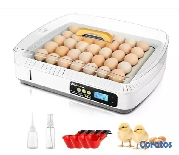 equipos profesionales - Incubadora de huevos 1