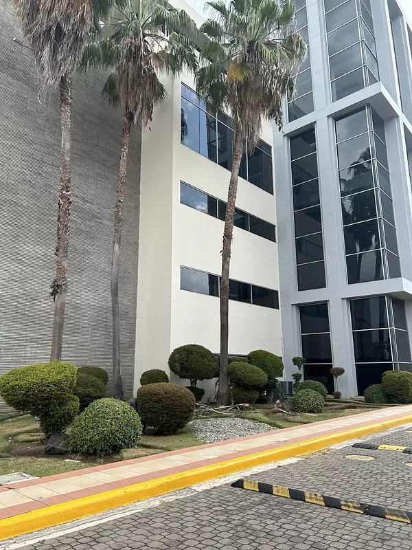 oficinas y locales comerciales -  Edificio corporativo alquiler en Naco 7