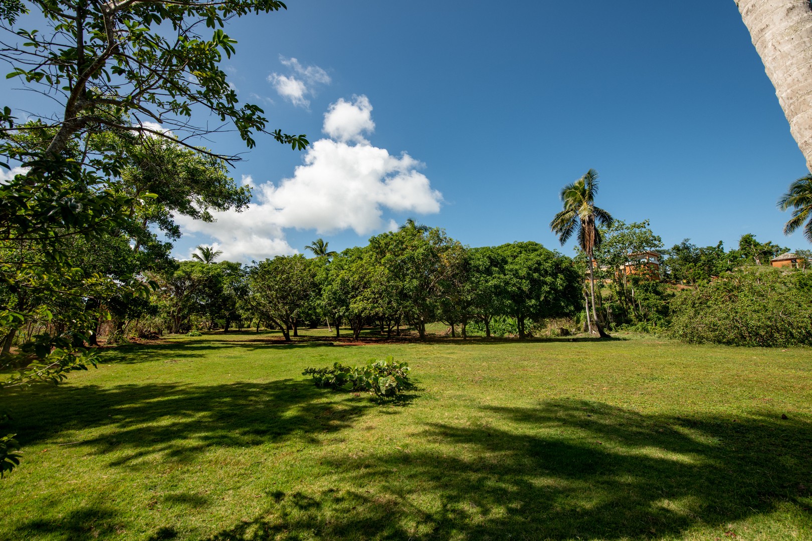solares y terrenos - Solares en venta en las Galeras de  Samaná próximo a hermosas playas 8