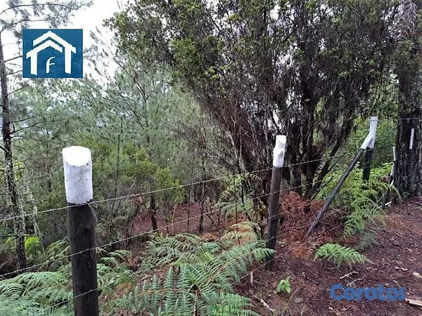 solares y terrenos - Solar en Constanza Rancho Guaraguao de 10591 metros 7