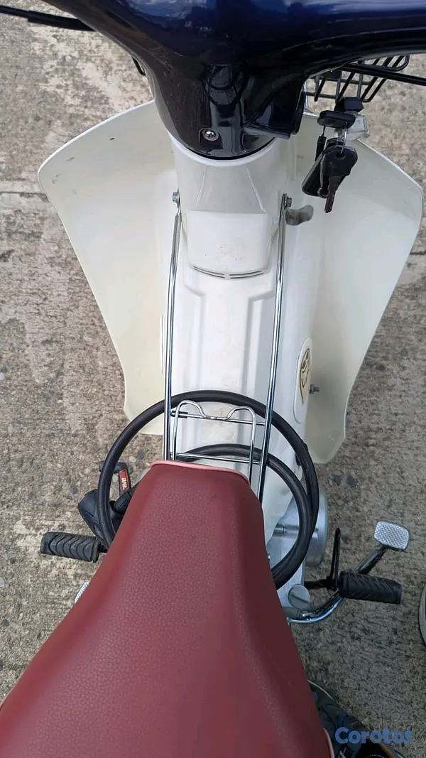 motores y pasolas - tauro super cub C110 2024 9