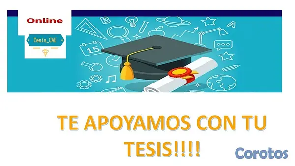 servicios profesionales - Asesoría de tesis nacionales e internacionales de pre grado y de maestría.