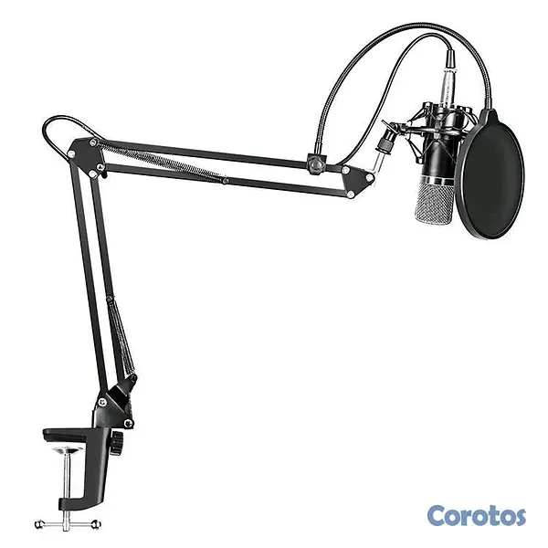 camaras y audio - MICROFONO DE ESTUDIO PROFESIONAL  3