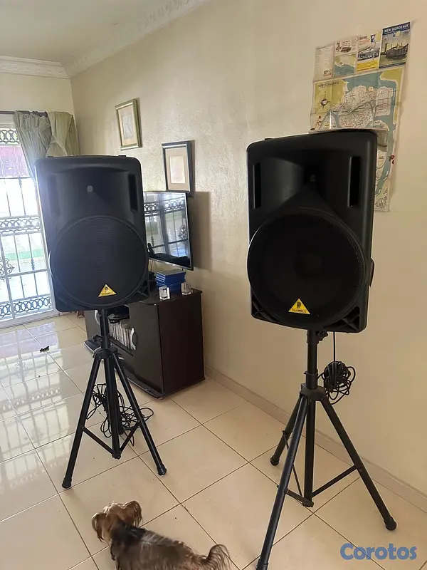 otros electronicos - Vendo Sistema de sonido completo profesional  13
