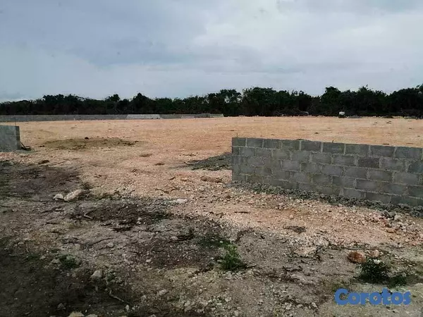solares y terrenos - Terreno en alquiler en Puerto Caucedo 3