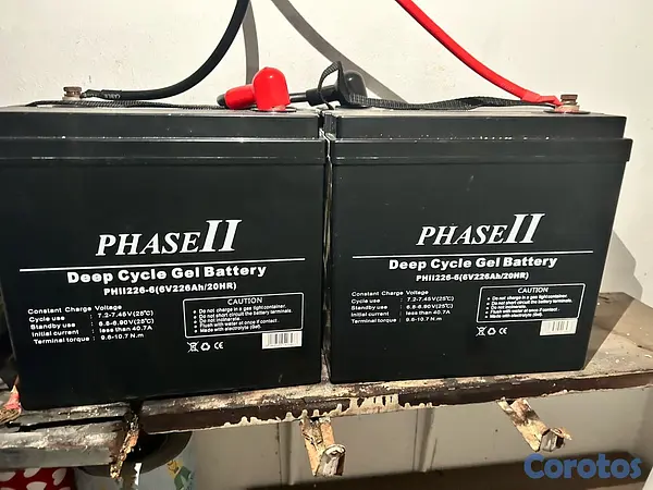 plantas e inversores - Inversor PHASE II para baterías de gel – NEGOCIABLE 3