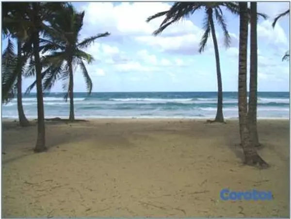 solares y terrenos - Gran Solar de Playa Uvero Alto con documentos  5