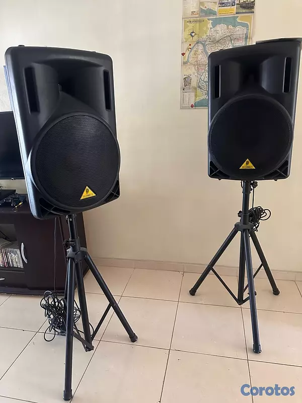 otros electronicos - Vendo Sistema de sonido completo profesional  14