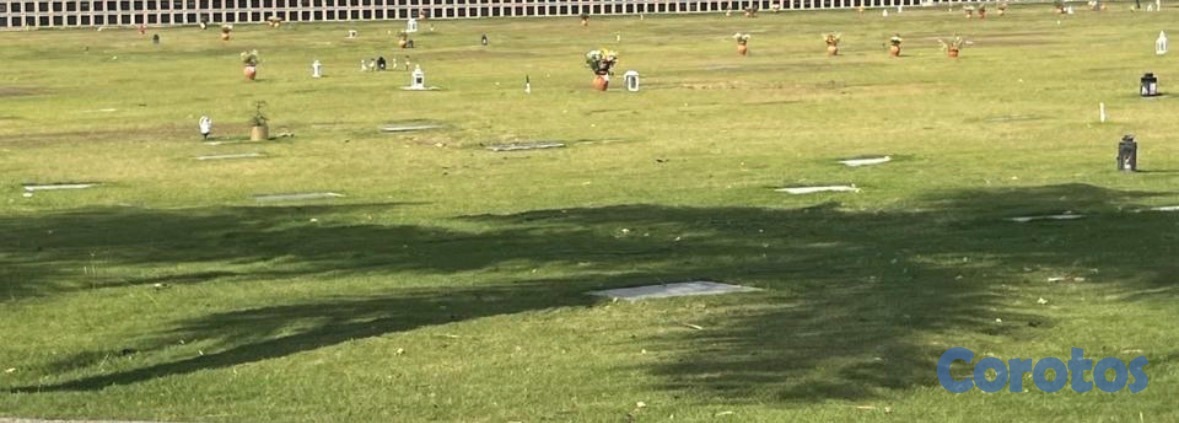 solares y terrenos - En Venta Propiedad Momorial