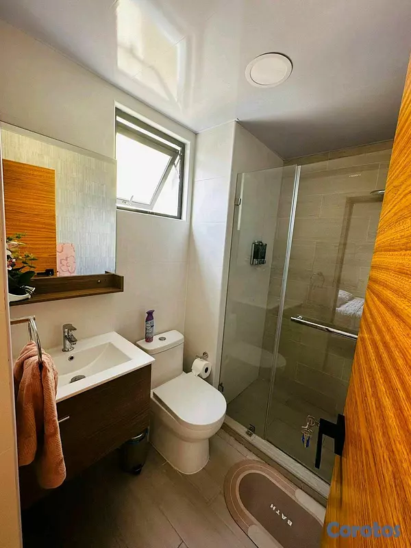 apartamentos - Alquiler de Apartamento Amueblado en Bella vista 7