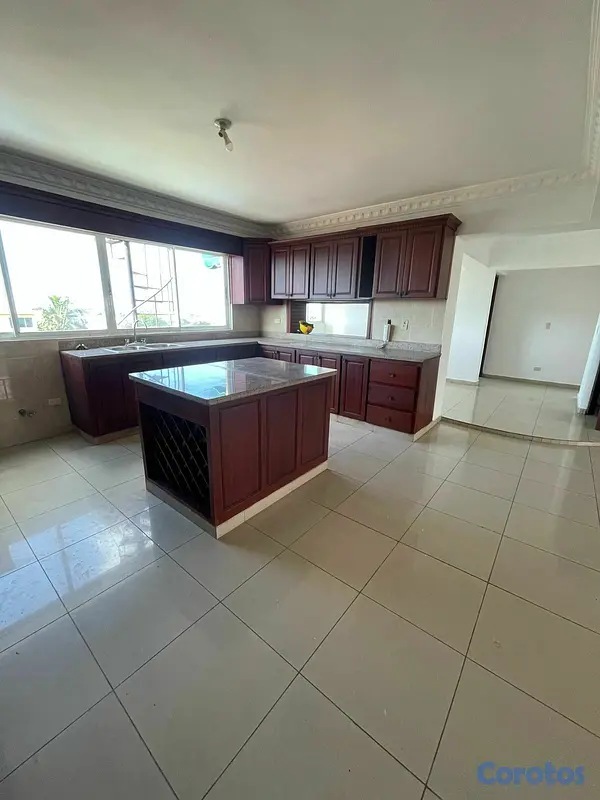 apartamentos - PENTHOUSE EN VENTA REPARTO LOS TRES OJOS CENTRICO  4