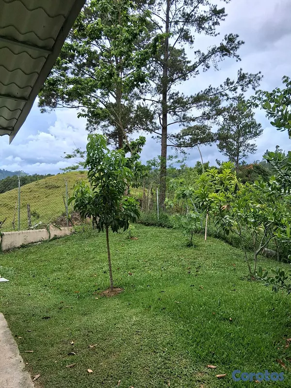 casas - ubicación en el campo Jarabacoa
 14