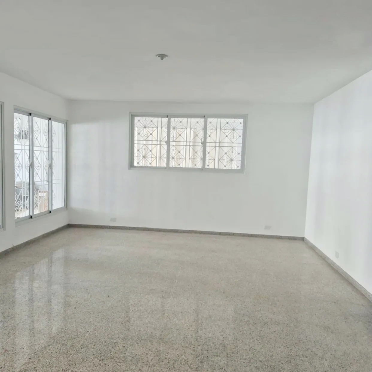 casas - Propiedad comercial centrica en Naco 1