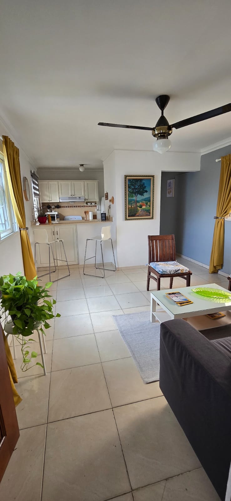 apartamentos - ALQUILER AMUEBLADO EN URBANIZACION FERNANDEZ  9