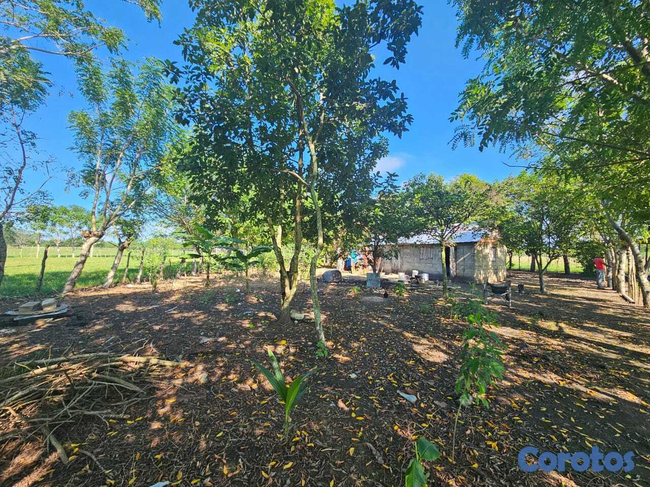 solares y terrenos - Finca en venta en San Francisco de Macorís Macoris 2