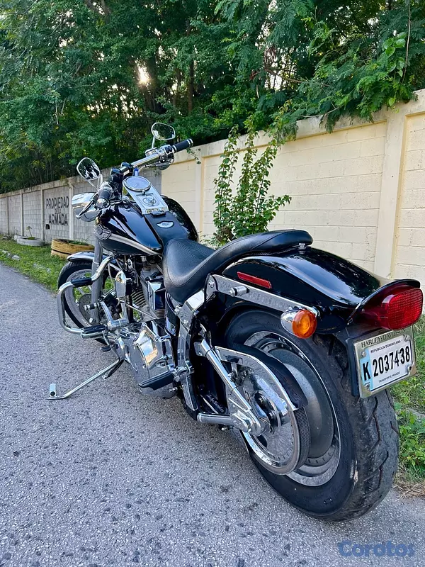 motores y pasolas - Softail 100 aniversario 
 3